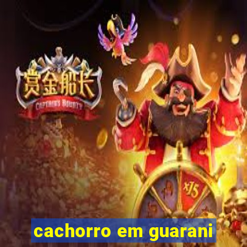 cachorro em guarani